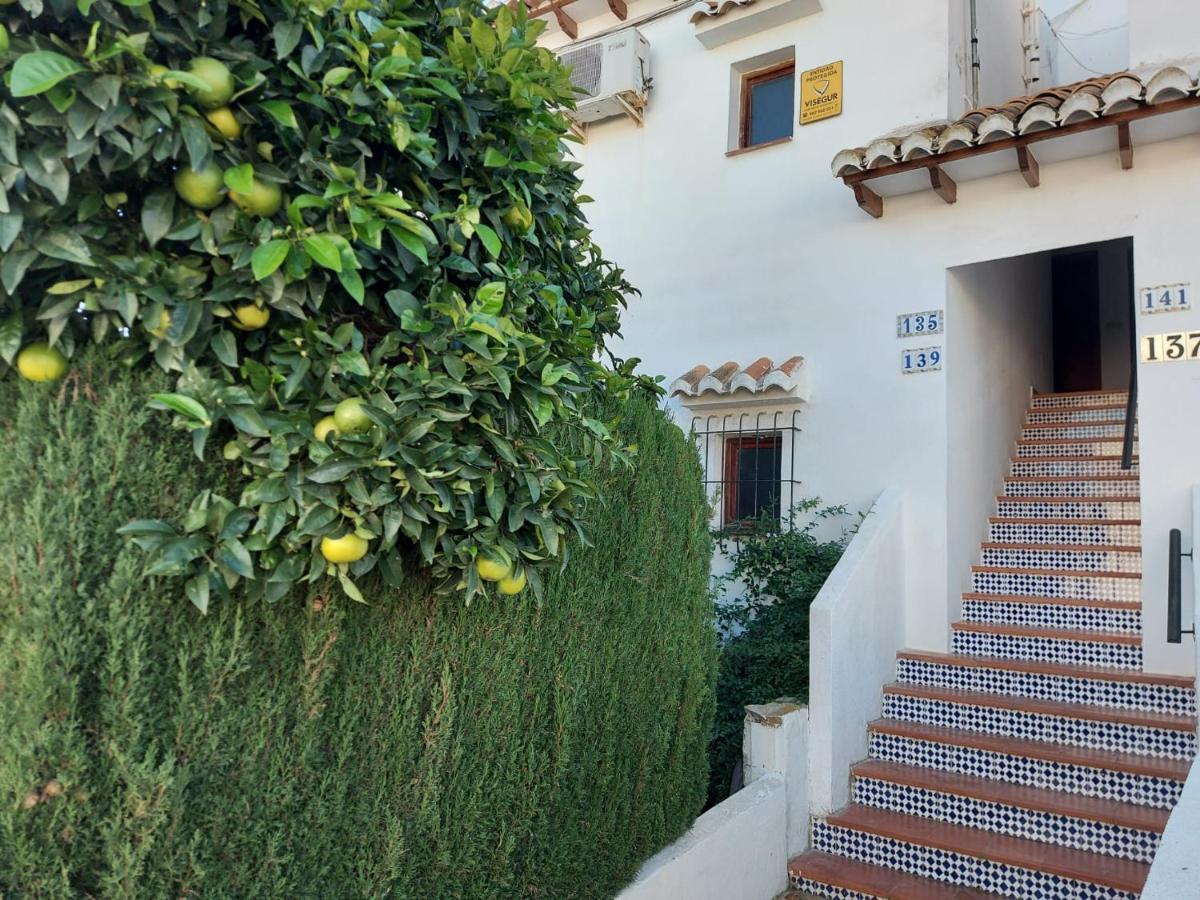 Bebi Casa Apartment Torrevieja Eksteriør bilde