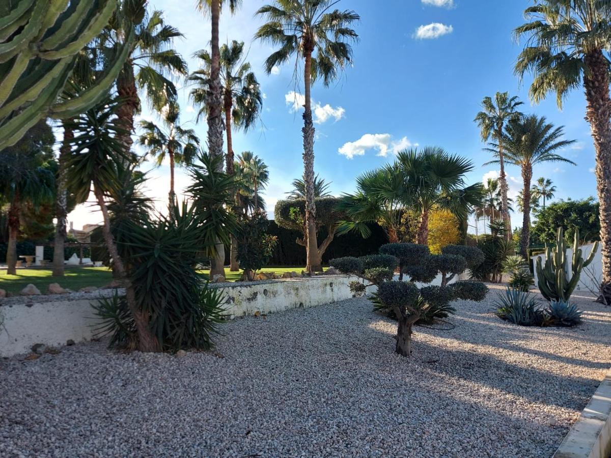 Bebi Casa Apartment Torrevieja Eksteriør bilde