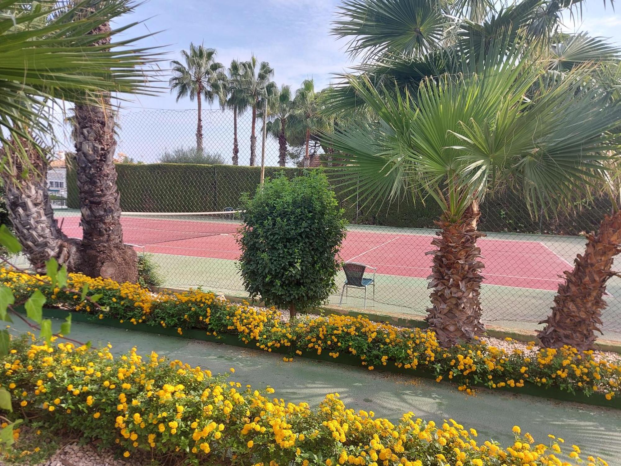 Bebi Casa Apartment Torrevieja Eksteriør bilde