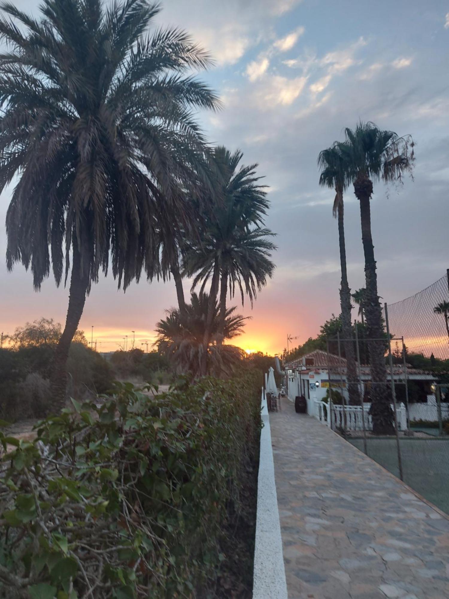 Bebi Casa Apartment Torrevieja Eksteriør bilde
